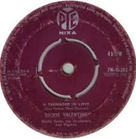 A Teenager In Love