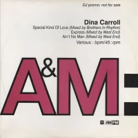 Special Kind Of Love (Mixed By Brothers In Rhythm) / Express (West End Mix) / Ain't No Man (West End Remix)