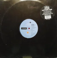 Motherland -A-fri-ca- (The Remixes)