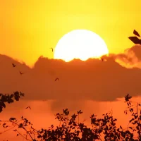Bhairav - Dawn Raga