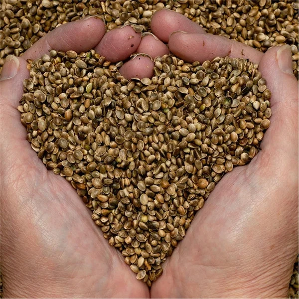 The Seed EP