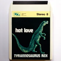 Hot Love