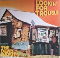 Lookin' For Trouble