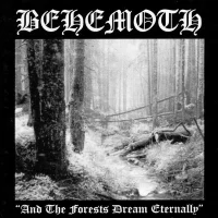 And The Forests Dream Eternally