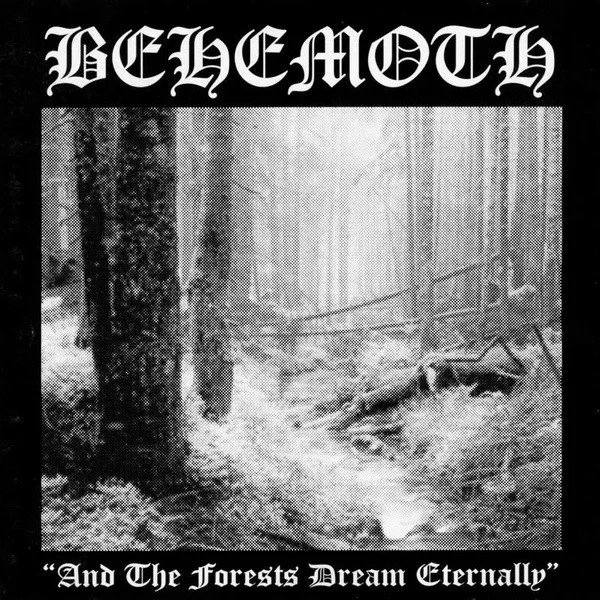 And The Forests Dream Eternally
