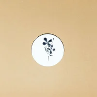 Plangent#10