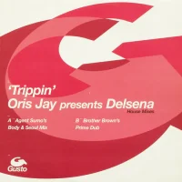 'Trippin' (House Mixes)