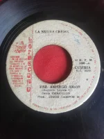 Ese Amargo Amor / La Paz Y La Dicha