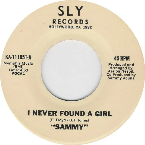 I Never Found A Girl