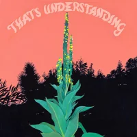 That's Understanding