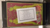 Psychotropic Colostrum (A Psychedelic Folk Noise Split)