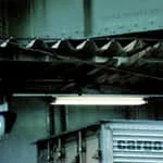 Cargo