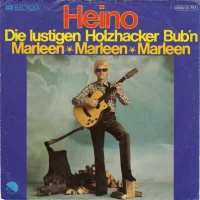 Die Lustigen Holzhacker Bub'n