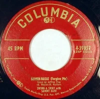 Gomen-Nasai (Forgive Me)