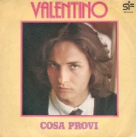 Cosa Provi