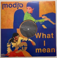 What I Mean