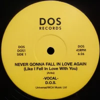 Never Gonna Fall In Love Again (Like I Fell In Love With You)
