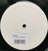 In The Music 2010 Remixes