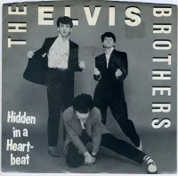 Hidden In A Heartbeat