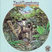 Taudi Symphony
