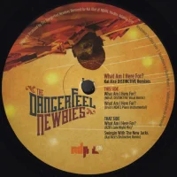 What Am I Here For? (Kai Alcé DISTINCTIVE Remixes)