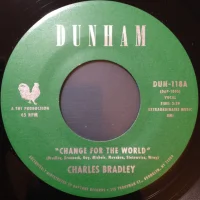 Change For The World / Revelations