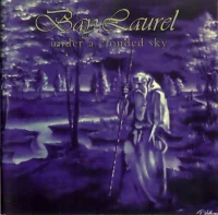 Under A Clouded Sky