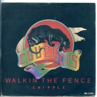 Walkin' The Fence