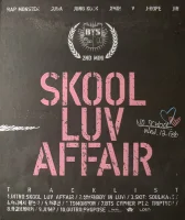 Skool Luv Affair