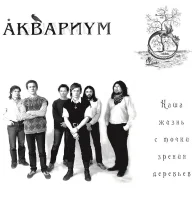 Наша Жизнь с Точки Зрения Деревьев