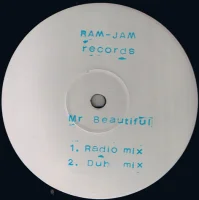Mr Beautiful