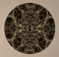New State Of Consciousness Remixed