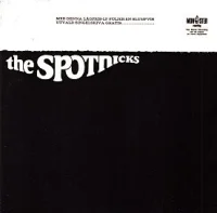 The Spotnicks