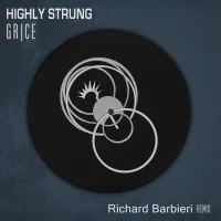 Highly Strung (Richard Barbieri Remix)