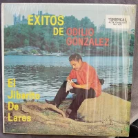 Exitos De Odilio Gonzalez