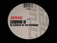 In Search Of The Morning