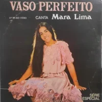 Vaso Perfeito