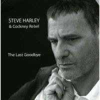 The Last Goodbye