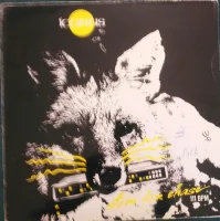 Stone Fox Chase