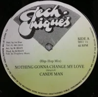 Nothing Gonna Change My Love