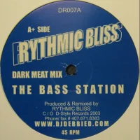 The Bass Station
