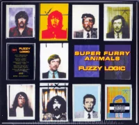 Fuzzy Logic