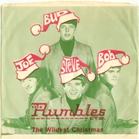 The Wildest Christmas / Santa Claus Is Coming To Town