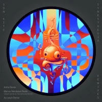 Synesthesia - Remixes