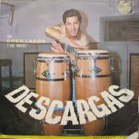 Descargas