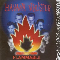 Flammable