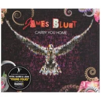 Carry You Home