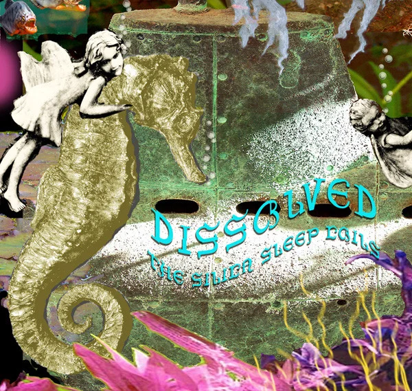 The Silica Sleep Coils