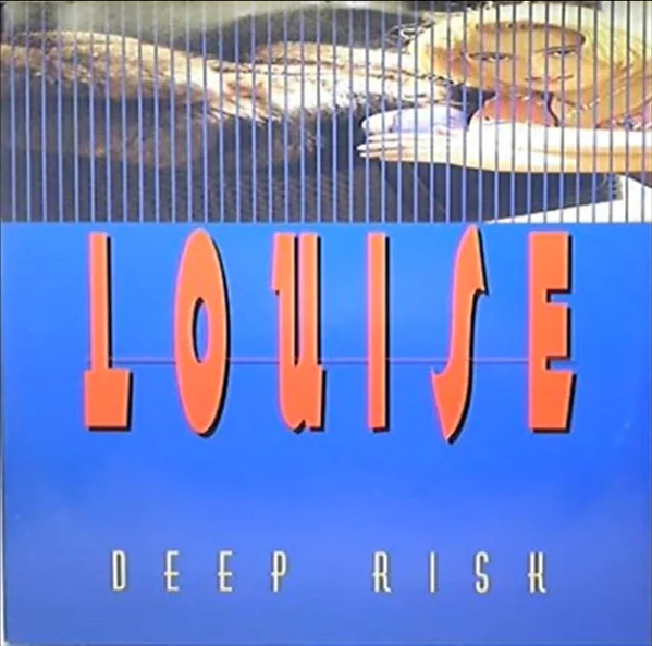 Deep Risk