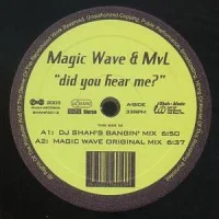 Did You Hear Me?